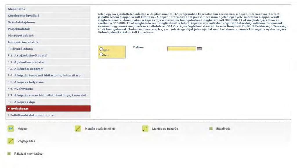A nyilatkozat elfogadása ( Igen választása) nélkül a pályázat nem véglegesíthető. A dátum mezőbe kérjük az aktuális dátum rögzítését.