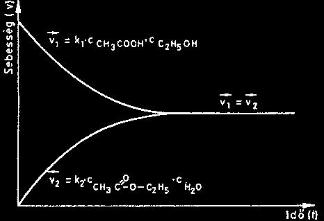[H 2 O] Egyensúlyban: v 1 = v 2 azaz k 1 [CH 3 COOH].