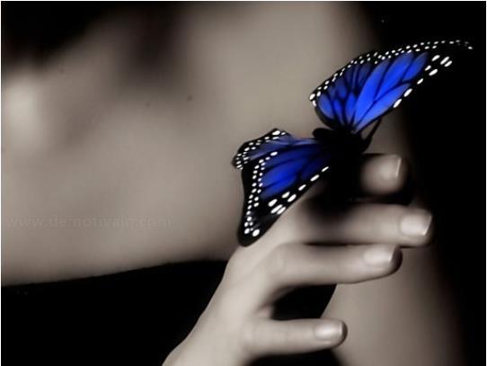 egy pillangó egyetlen szárnycsapása a Föld egyik oldalán