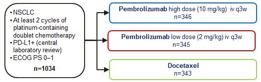 Működhet-e az immunkezelés előkezelt betegben?