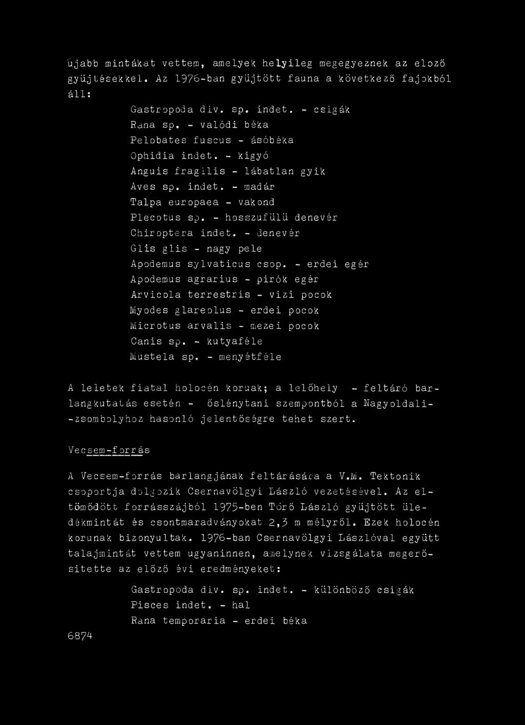 - menyétféle A leletek fiatal holücén korúak; a lelőhely - feltáró barlangkutatás esetén - őslénytani szempontból a Ragyoldali- - zsomboly hoz hasonló jelentőségre tehet szert.