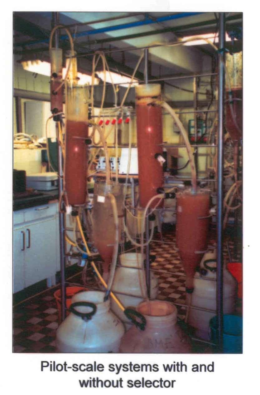 Tagolt reaktor Szelektoros rendszer Szelektoros rendszer Szennyezőanyag koncentráció (S) Monod kinetika Laborkísérlet