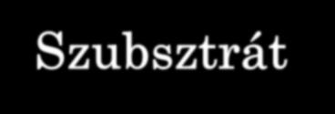 Interakciós hálózatok Interaktomika szint Protein ill.