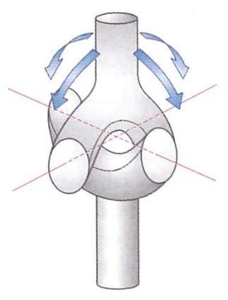 articulatio radiocarpea - Nyeregízület (articulatio sellaris) két egymásba illő nyereg alakú