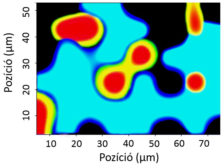 Az 5.14. ábrán az 1400 1500 cm 1 közötti tartományban a szimmetrikus C O nyújtórezgés látható, amely a kalcium-oxalát-dihidrát esetében (piros görbe) egy darab ekvivalens sáv.