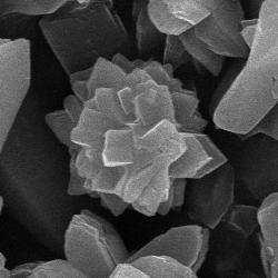 6 cm-es távolságban, 3 µm, de a rózsákon kívül a mintában kisebb mennyiségben előforduló, 5 µm-nél nagyobb pillangó vagy oktéderes részecskéket is megfigyeltem.