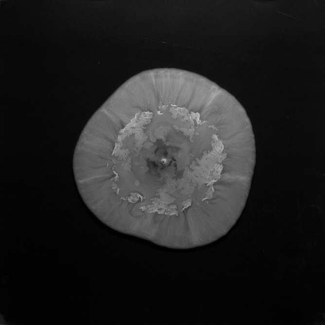 [CaCl ] / mol/dm 2 4,0 3,0 2,0 3 0,01 0,025 0,05 0,1 3 [Na CO ] / mol/dm 2 3 6.3. ábra. Kalcium-karbonát mintázatok fényképe t = 4 min időpontban. A képeken látható terület 18 cm 18 cm.