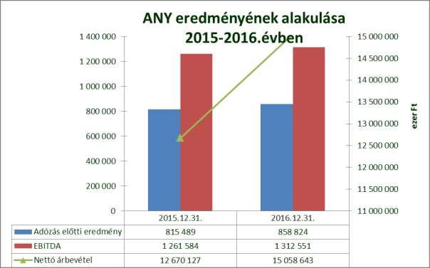 1. Igazgatósági jelentés Az ANY árbevétele 2016-ban 15.059 millió Ft volt, amely 2.