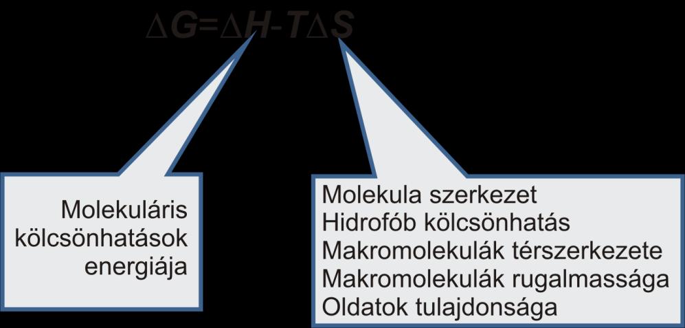 G H TS n (21) i ahol a ini összeg a kémiai reakciók energiáját veszi figyelembe.