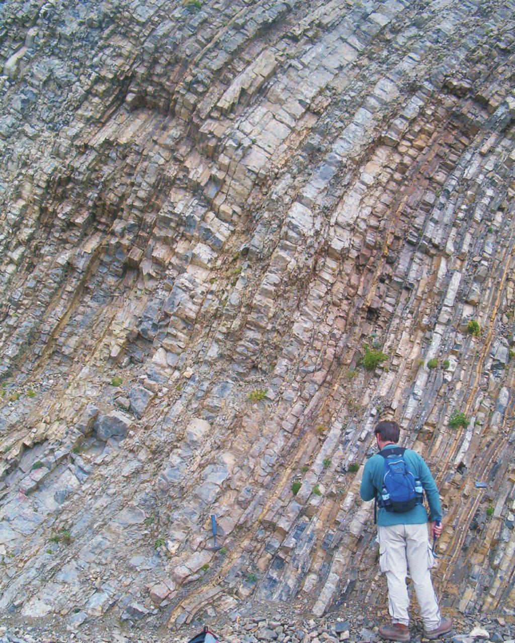 Középső-triász platformkarbonátok és vulkanitok vizsgálata a Latemar környékén (Dolomitok, Olaszország) mérőjük 200 m, illetve 30 m).