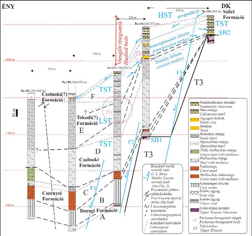 Középső-eocén karbonátos üledékképződési környezetek és egymásra épülésük a Tatabányai-medence DK-i peremén 219 3. ábra.
