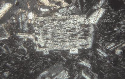 Rows of glass inclusions in plagioclase phenocrystals. 10, N. (The long edge of the photo is 1.8 mm) 17. fénykép. Recsk, Csákánykő-bánya.