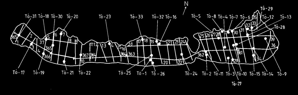 274 CSERNY TIBOR et al. 1. ábra. A Balatonon mért geofizikai szelvények és fúrások helyszínrajza A Tó 1 16, és Tó 24.