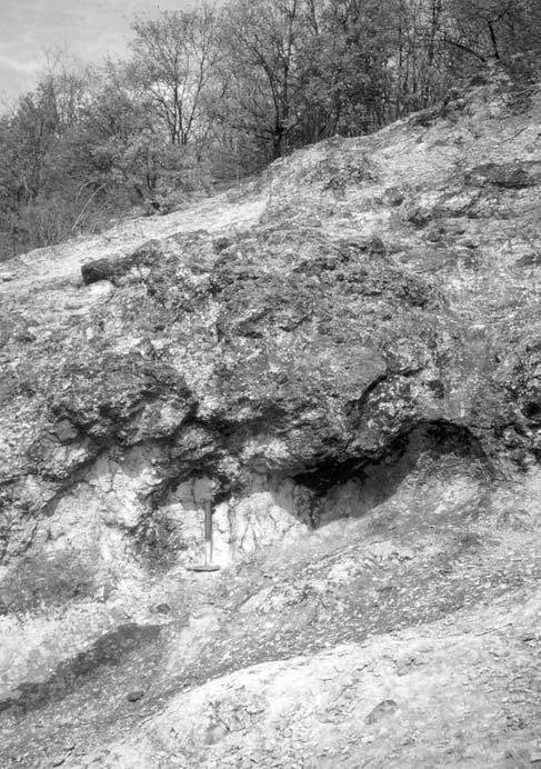A Tari Dácittufa Formáció típusszelvényének felülvizsgálata 77 A területen kifejlődött formációk jellemzése A területet is érintő széleskörű földtani szakirodalom (főleg SCHRÉTER 1940, ID.