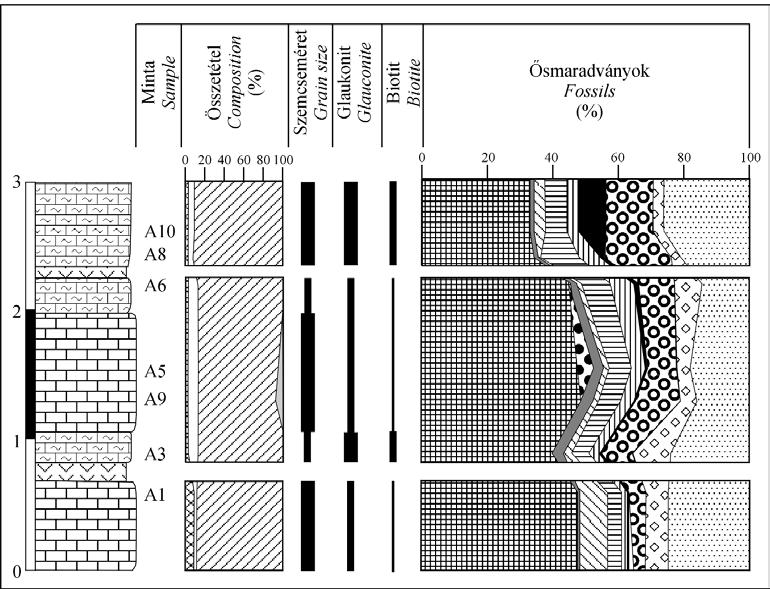 A móri Antal-hegyi középső- és késő-eocén lithothamniumos mészkő mikrofácies és őskörnyezeti vizsgálata 89 3. ábra.