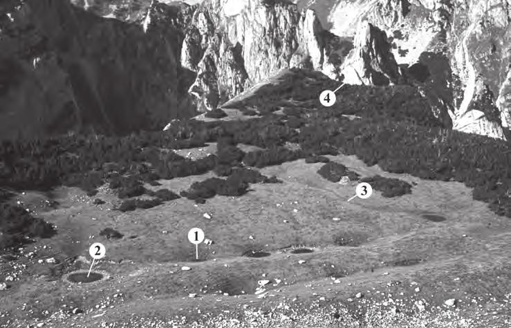 6. kép Tavas szuffóziós dolinák (Durmitor). Forrás: a szerző felvétele.