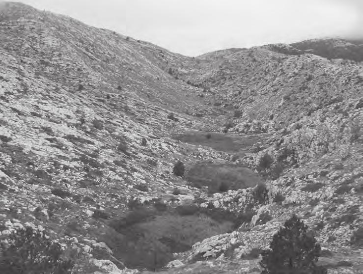 1. kép Oldásos dolinák és uvala (Biokovói-hegység, Horvátország). Forrás: a szerző felvétele Photo 1 Solution dolines and uvala (Biokovo Mountains, Croatia).