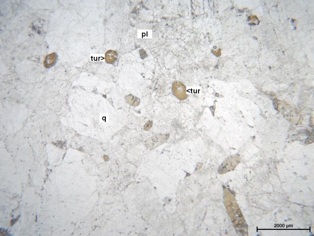 c.) Meta-turmalingránit Az előbbi b.) típushoz hasonlóan mikroszkópi léptékű irányítottság egyáltalán nem jellemző a kőzetre, itt az eredeti magmás szöveti bélyegek azonban még jobban nyomozhatók.