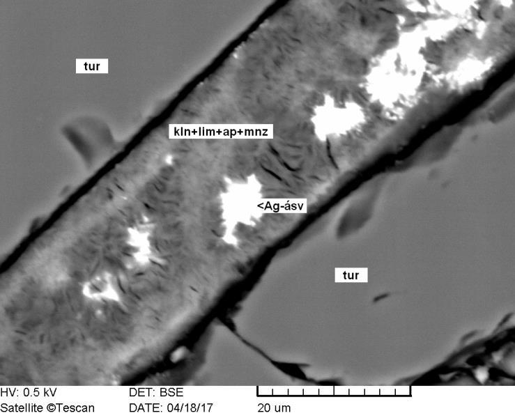 (kaolinit) és limonitban gazdag vékony (20-30 µm) finomszemcsés erek, kitöltések is jelen vannak, melyekben a monacit és foltokban 1-10 µm-es eddig nem meghatározott ezüstásvány (feltételezhetően