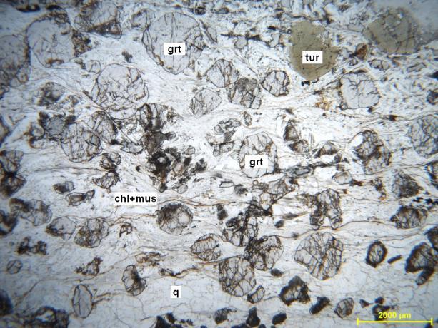 Mikroszkópos leírás: A kőzet homogén, erősen foliált, melyet a finomszemcsés fehér csillám és klorit szálak irányított halmaza jelöl ki.