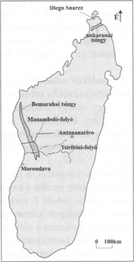 Különböző vizsgálatokat végeztünk a tsingyn (pl. térképezést, szelvényezést, hasadék irányok mérését, stb.).
