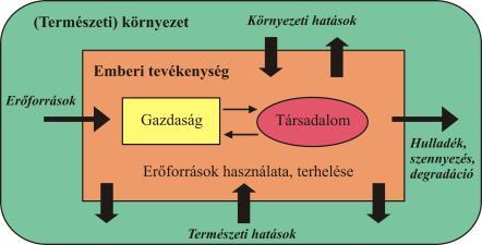 Társadalmi folyamatok és