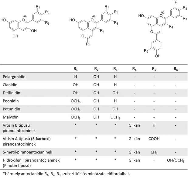 5. ábra. Jellegzetes antocianidinek és piranoantocianinek általános szerkezeti képletei és szubsztitúciós mintázatai 6. ábra. Naringenin és heszperetin S és R enantiomerjei letve szintén fontos szerepük van a beporzó rovarok virághoz csábításában [10].