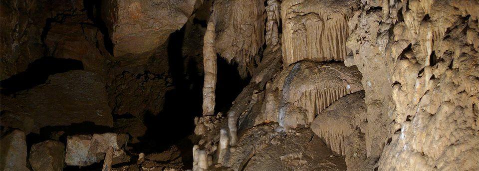 A hónap során a Duna-Dráva Nemzeti Park Igazgatóság különleges barlangi programokkal és akciókkal várja a látogatókat. Március 3.