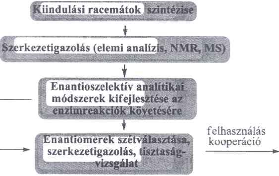 ábra (4) E = Az egyes munkákon belül jól elkülöníthető lépések követik egymást: a racém szubsztrát szintézise; az enzimes reakció követésére alkalmas analitikai módszer kidolgozása; az