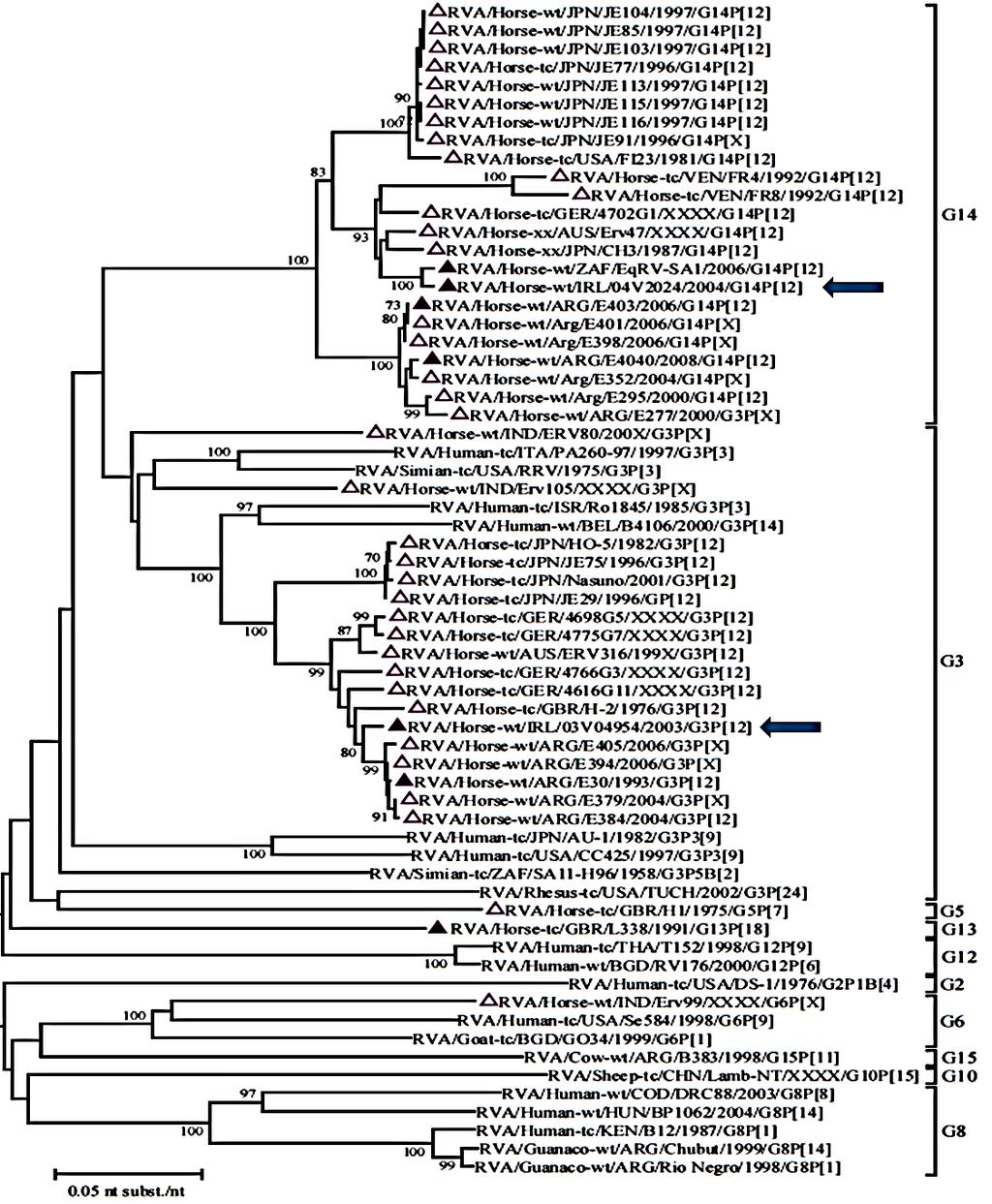 8. ábra. Ló RVA VP7 filogenetikai fa. Válogatott RVA törzsek VP7 génjének ORF nukleotid szekvenciája alapján készült filogenetikai fa. A genotípusok jelölése a jobb oldalon található.