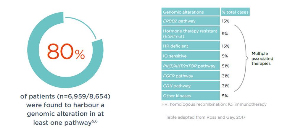 A teljeskörű genomikai profilmeghatározás az emlőtumorok 80%-nál legalább 1 genomikus alterációt azonosít Ross JS, Gay LM, Elvin JA, et al.
