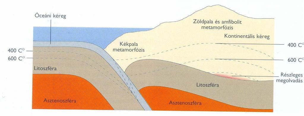 Metamorfózis konvergens lemezszegélyen lyen A metamorfózis típusai konvergens lemezszegélyeknél. A hideg szubdukálódó lemez környezetét is hűti.