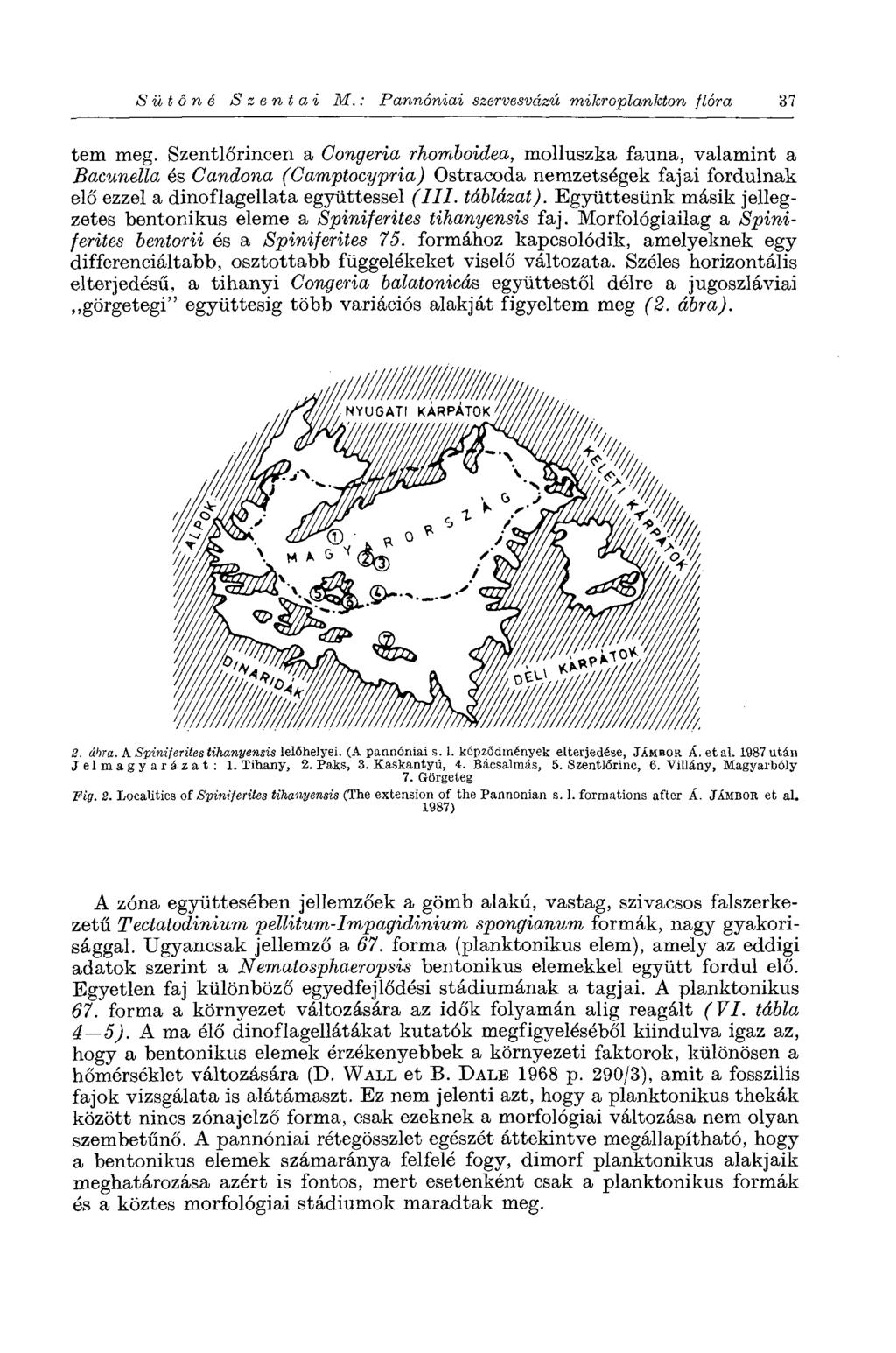 S ütőné S z e n t a i M. Pannóniai szervesvázú mikroplankton flóra 37 tem meg.