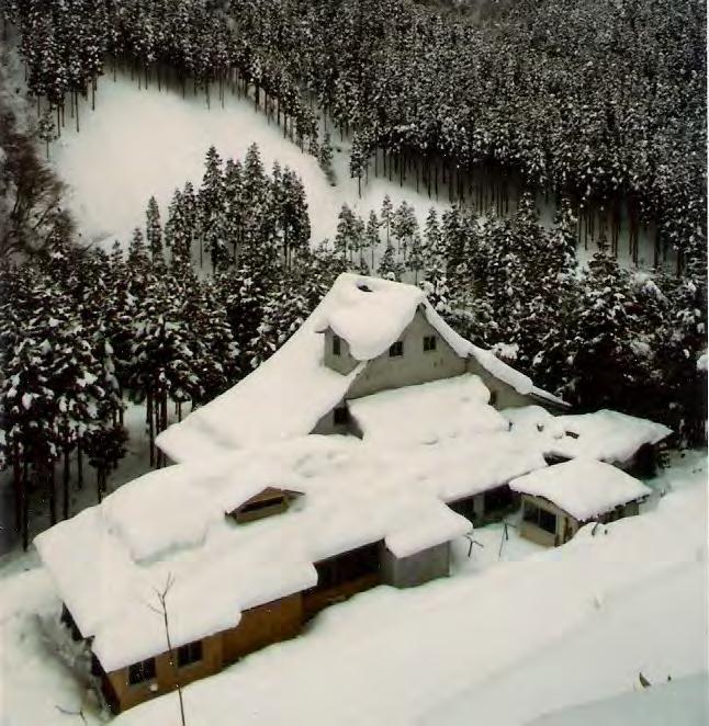 Hind-Japana Eduka Centro ĉe Anandniketan. En 1977 profesoro G. M. Maeda ekzamenis ĝin kaj deklaris, ke ĝi prezentas Ŝakjamuni Budhon kaj Jesuo Kriston. Oni taksas ĝian aĝon pli ol 1400 jaroj.