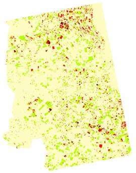 Kukoricabogár kártétel Belvíztérképezés Jégkár Parlagfűtérképezés Lárvakártétel térkép, 2008 A kukorica vetésterülete 30000 ha volt 2008-ban, ebből 9000 ha (22%) volt monokultúrás.