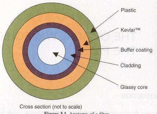 Fiber Anatomy Forrás: Shivkumar Kalyanaraman