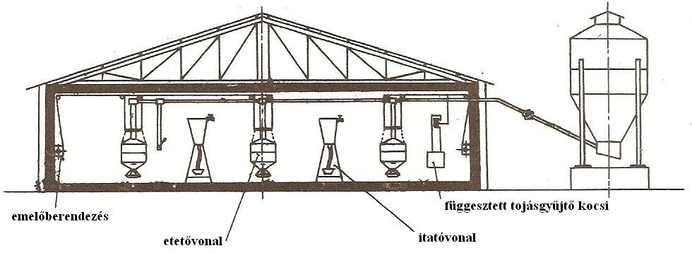 Bábolnai rendszerű szülőpár tartó istálló Bábolnán a szülőpárok tartására fejlesztették ki az ábrán látható gépesített istállót.