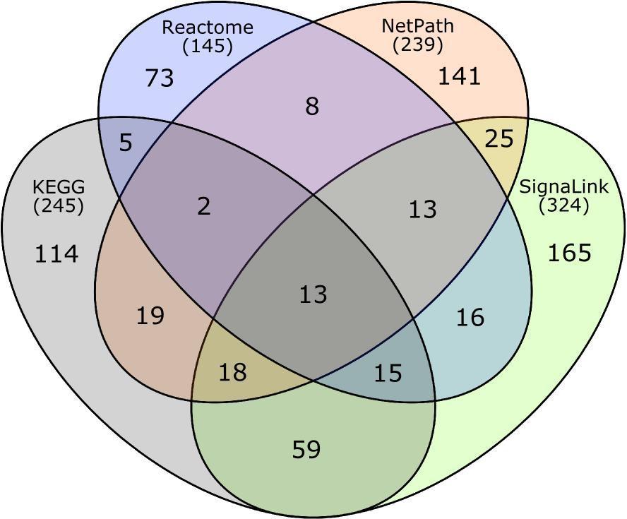 13. táblázat A SignaLink, a KEGG, a Reactome és NetPath útvonal-adatbázis mennyiségi tulajdonságainak összehasonlítása.