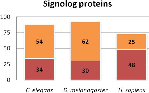 adatbázis metszetében 20. ábra A szignalóg fehérjék újdonságvizsgálata.