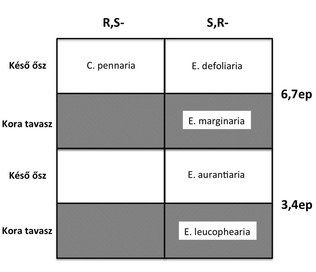 Szőcs G: A szexferomonok szerepe a lepkéknél Akadémiai Doktori Értekezés 2016 91 6. ábra (Sematikus, áttekintő ábra, az 5.