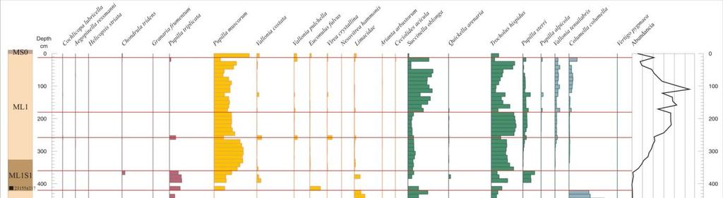 11. ábra A mázai lösz-paleotalaj szelvény fajszintű malakológiai vizsgálatának eredményei: dominancia és abundancia viszonyok, malakológiai horizontok abszolút koradatokkal (a fajok ökológiai