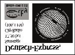 Nr. 6. - June 2017 Seite 7 Kurz über Forum Am 15. Juni fand die Sitzung des Kreisvorstandes des DFD Sathmar im Kulturtreffpunkt Sathmar/Satu Mare in der Vasile Lucaciu Str. Nr. 9 statt.