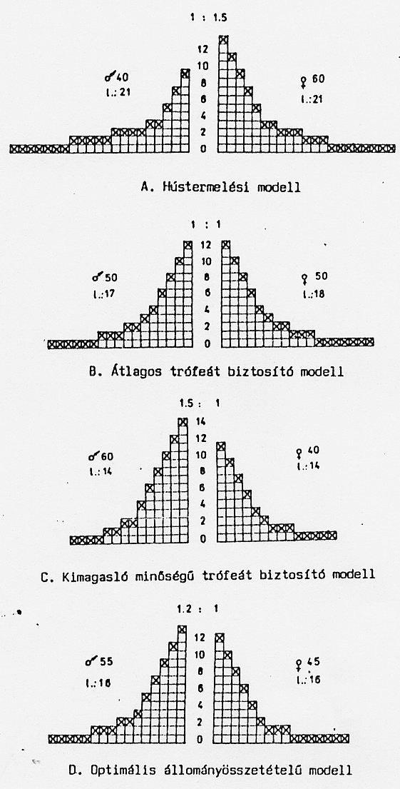 2. ábra: Eltérő hasznosítású gímállományok korpiramisai 2.2.2. Modellezés élettáblázatokkal Az élettáblázat alapegysége is a KOHORSZ, vagyis az A ZONOS IDŐPONTBAN SZÜLETETT egyedek összessége.