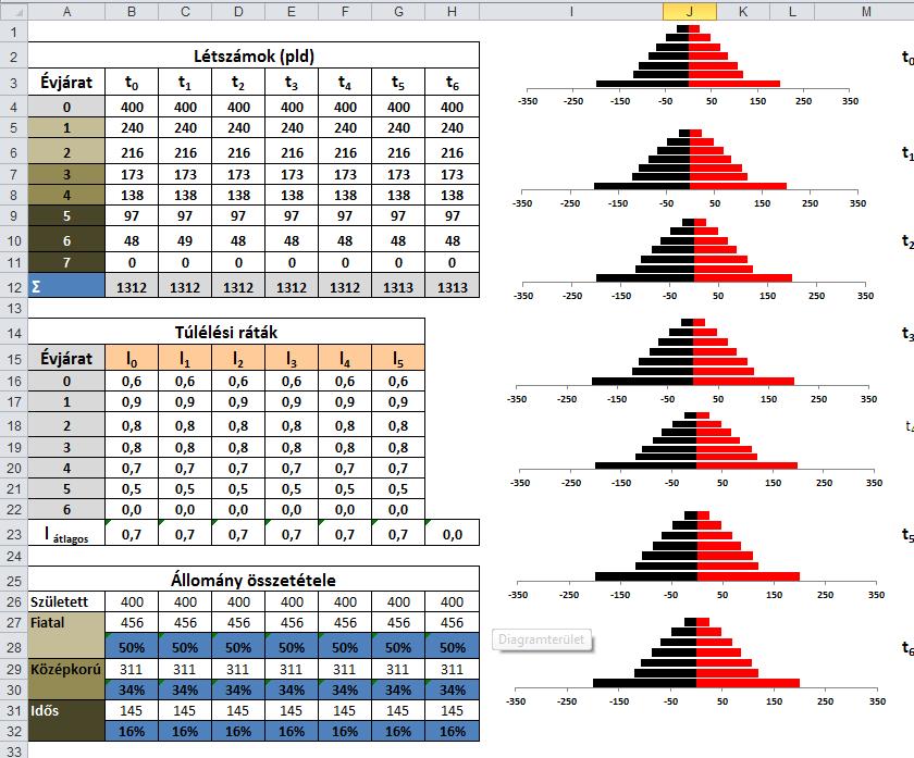 Az alábbi két ábrán egy elmélet faj zárt populációjának a koreloszlását látjuk az egymást követő években numerikusan (létszám táblázat), valamint korpiramissal ábrázolva számítógépes modell