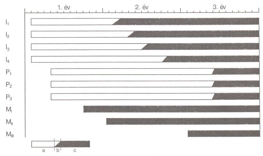 4.7. Korbecslés GÍMSZARVAS: Élő állapotban: borjak, tehenek szín, viselkedés, habitus, bikaborjaknál agancs növekedés kezdete (8-9 hó). Bikák viselkedés, habitus, agancs (lásd: 60. oldal). 11.