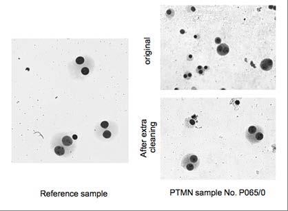 Robustness analysis of the Radosys