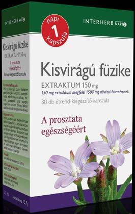 1146 Budapest, Thököly út 76.