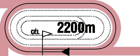 2016.08.14 IX. FUTAM 18:05 (165) GALOPP Pálya: 11 - Kincsem Park A futam neve: BARACSKAI HENDIKEP (II.o.) Összdíjazás: 700000 Ft (350000, 140000, 105000, 70000, 35000) 1 Áloműző * 61.