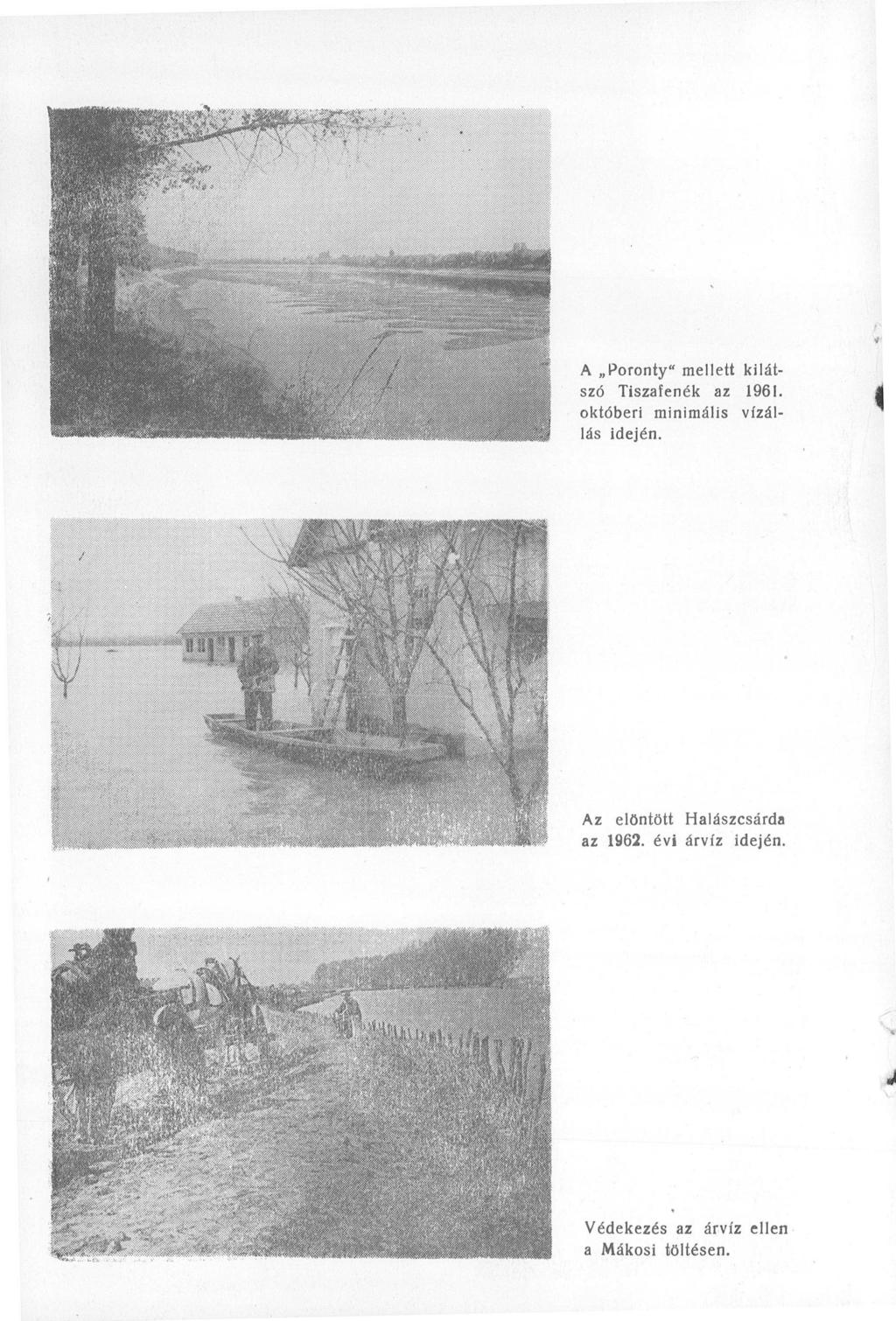 A Poronty" mellett kilátszó Tiszafenék az 1961. okt бberi minimális vfzállás idején.
