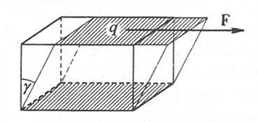 Hooke-törvény l 1 F = ε = 1 σ l E q E Nyújtás E: rugalmassági, nyújtási, vagy Young-féle modulus ahol l ε = l F σ = q relatív megnyúlás húzófeszültség Harántösszehúzódás: µ = d d l l µ: Poisson-féle